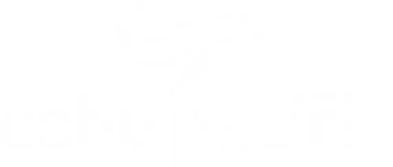 Cebu_Pacific_Air_logo_logotype