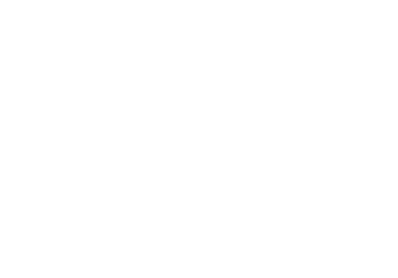 AA_Logo_02_WHITE