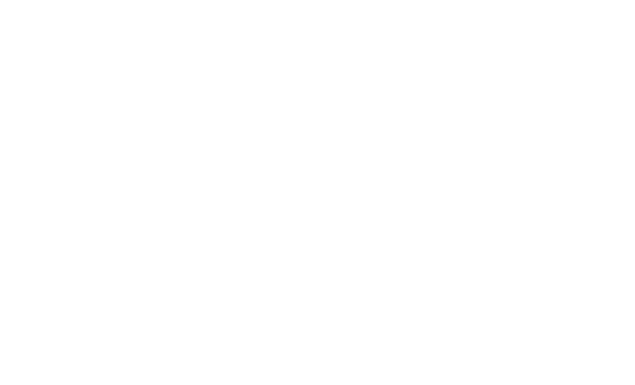 White-Logo-sky-plc